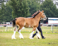 AG_8066