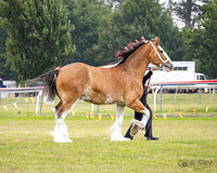 AG_8067