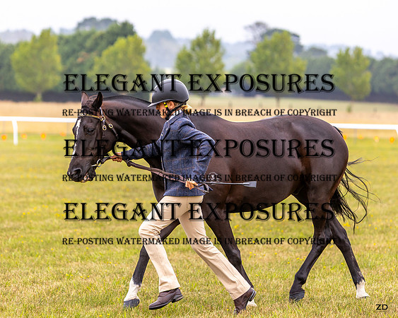 ZJD-5439