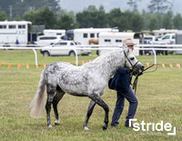 Bowral Show - Hack Ring 1 -  11.01.2026