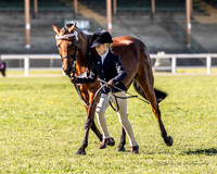 MAS_8194