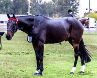 MKG_9290