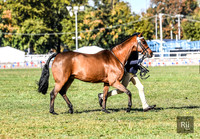 RII_0057