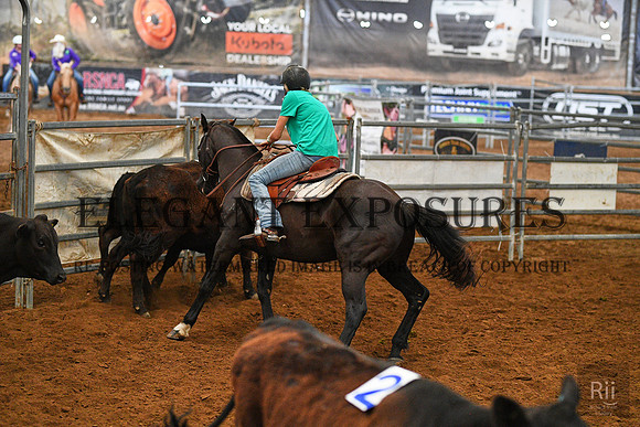 RII_0418 - Camden TS - Sat - Print Correction