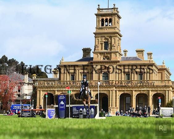 RII_5311