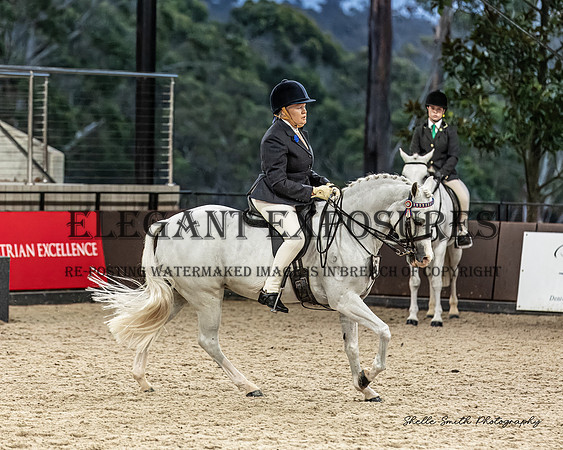 MAS_0085-2