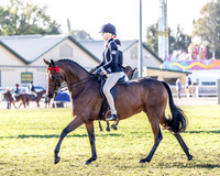 MAS_9819