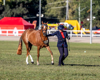 RBS - Saturday - Ring 3 - 13.04.2024