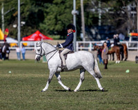 MAS_4094