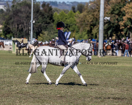 MAS_4111