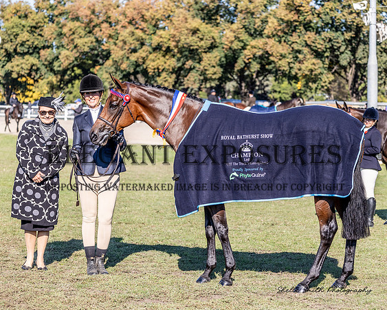 MAS_0262