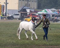 MAS_6203