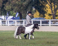 MKGX7298