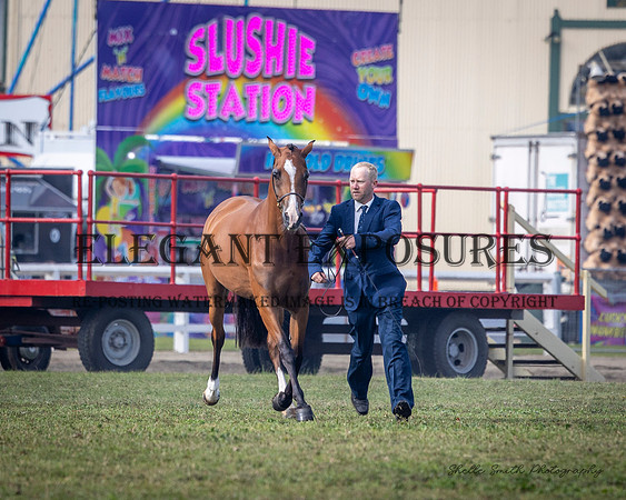 MAS_6405