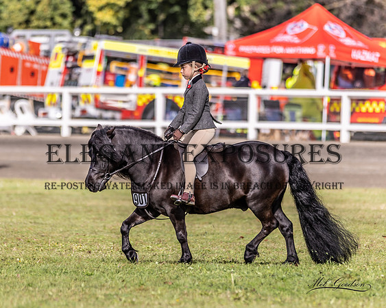 MKG_0966
