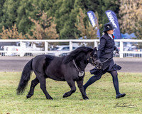 MKG_0876