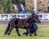 MKG_0883
