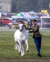 MAS_6196