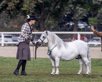 MKGX7253