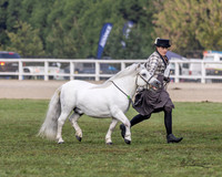 MKGX7262