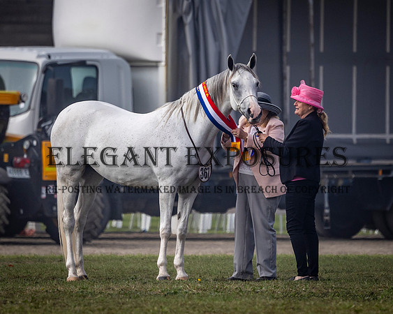 MAS_6514