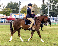MKG_0973