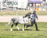 MKG_8039