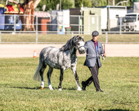 MKG_8028