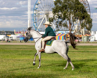 MKG_0901