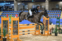 OLS_5913