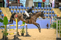 OLS_5911