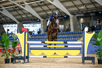 W/SJ - Ring 1 - Class 1 - 1.25m 11.08.2023