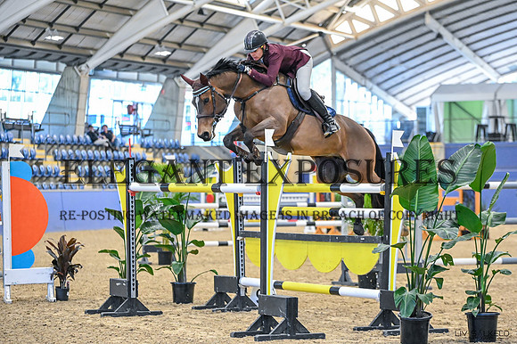 OLS_5647