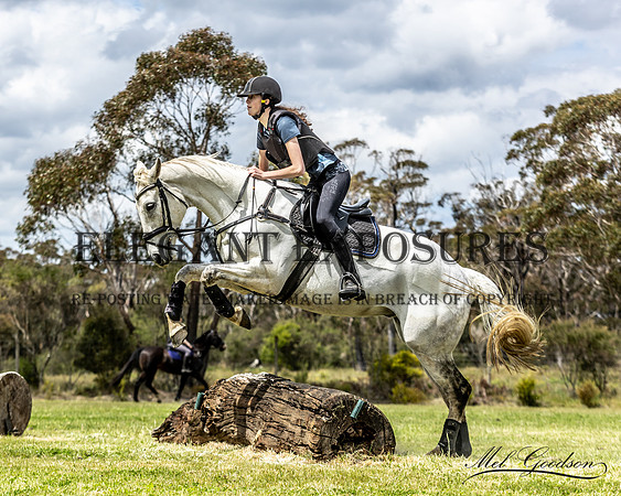 MKG_6331