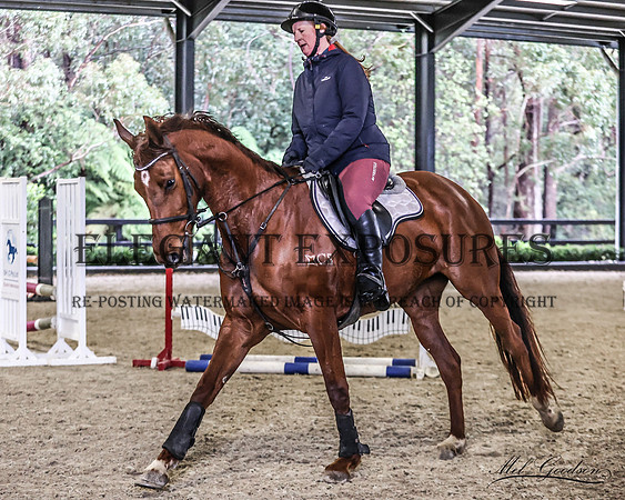 MKG_2586
