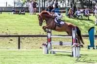 Waratah SJ - Ring 1 - 1.20m 15.01.2022