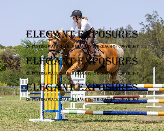 Ma4-8000