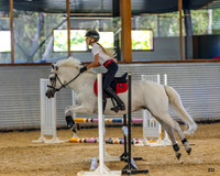 ZJD-8784