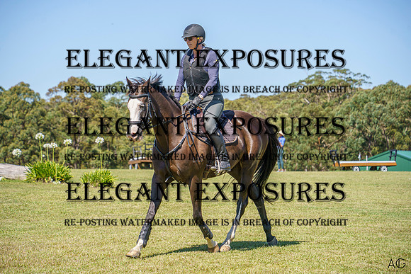 _AJG1466