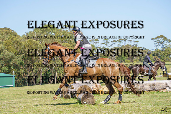 _AJG1497