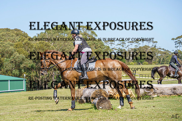 _AJG1498