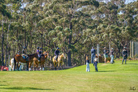 Eventing NSW - 95-2*cm 9am - Craig XC - Sat 24.01.2026