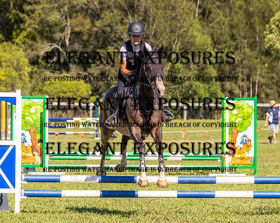 KMS-7665