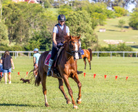 KMS-7086