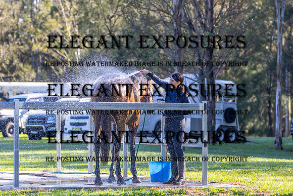 KMS-7135