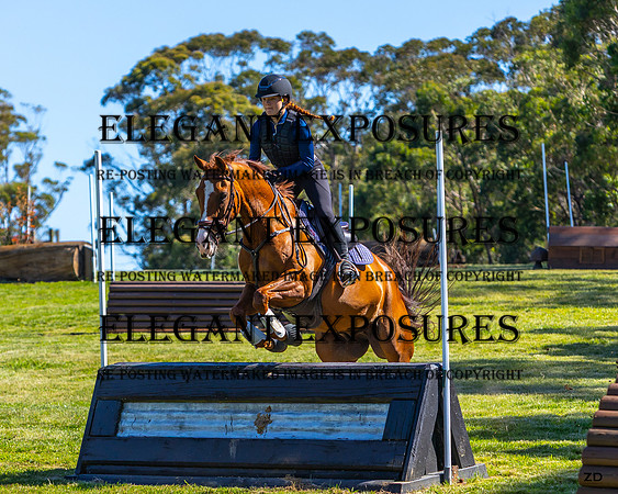 ZJD-0267