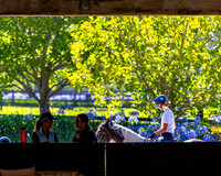 Eventing NSW - Super Clinics - Extra Memories - 24-27.01.2026