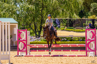 _AJG2672