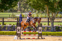 _AJG2687
