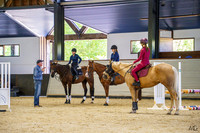 Eventing NSW - 95cm 1pm - Craig SJ - Sat 24.01.2026